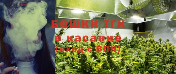 spice Инсар