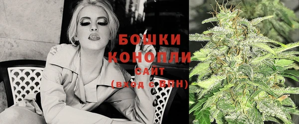 spice Инсар