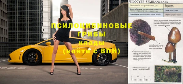 мяу мяу мука Иннополис