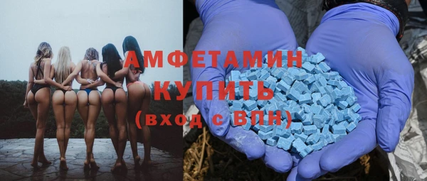spice Инсар