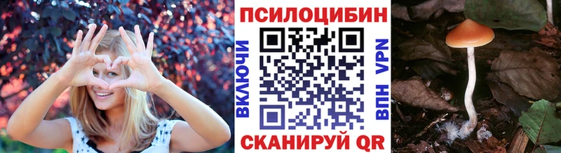 Псилоцибиновые грибы Psilocybine cubensis  Купить  Якутск 